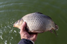 예담2 > 아산 오목지 : 낚시사랑