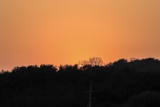 청춘어락 > 내동 낚시터 : 낚시사랑