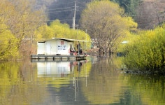 강호지락 > 고삼지 금터 좌대 : 낚시사랑