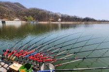 노아주 > 토종대물 상곡지 : 낚시사랑