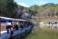 청춘어락 > 여주 관광농원 낚시터 : 낚시사랑