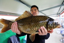 노아주 > 포천 가산낚시터 : 낚시사랑