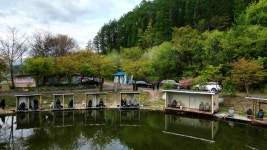 붕어도인 > 가평 도장골낚시터 : 낚시사랑