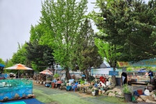 노아주 > 청학 헤라낚시터 : 낚시사랑