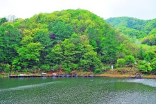 낚시사랑 > 양평 백동낚시터 : 낚시사랑