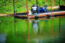 낚시사랑 > 광주 추곡낚시터 : 낚시사랑