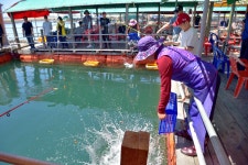 강호지락 > 힐링과 낚시명소 미리내좌대. : 낚시사랑