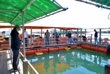 강호지락 > 힐링과 낚시명소 미리내좌대. : 낚시사랑