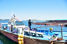 강호지락 > 힐링과 낚시명소 미리내좌대. : 낚시사랑