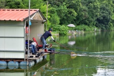 강호지락 > 양평 수곡 낚시터 : 낚시사랑