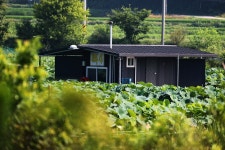 노아주 > 토종대물 안골지 : 낚시사랑