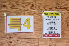 노아주 > 토종대물 안골지 : 낚시사랑