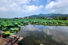 노아주 > 토종대물 안골지 : 낚시사랑