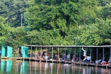 붕어도인 > 양평 세월낚시터 : 낚시사랑