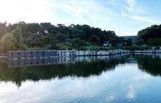 붕어도인 > 화성 고잔낚시터 : 낚시사랑