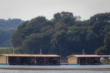 청춘어락 > 화성 고잔 낚시터 : 낚시사랑