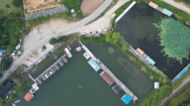 붕어도인 > 안성 상지낚시터 : 낚시사랑