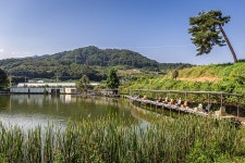 예담2 > 원주 서곡 낚시터 : 낚시사랑