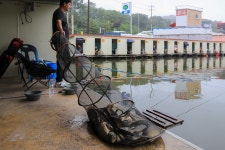 청춘어락 > 화성 관리 낚시터 : 낚시사랑