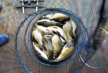 강호지락 > 거청낚시터 : 낚시사랑