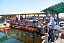 강호지락 > 미리내좌대 : 낚시사랑