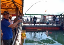 강호지락 > 미리내좌대 : 낚시사랑