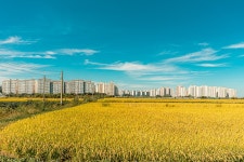 예담2 > 김포 이화낚시터 : 낚시사랑