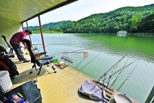 낚시사랑 > 음성 봉낚시터 : 낚시사랑