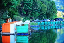 낚시사랑 > 광주 추곡낚시터 : 낚시사랑