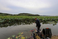 청춘어락 > 화성 동방 낚시터 : 낚시사랑