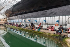 예담2 > 김포 이화 하우스 : 낚시사랑