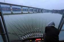 청춘어락 > 화성 어천 낚시터 : 낚시사랑