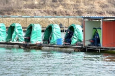 강호지락 > 고담 낚시터 : 낚시사랑