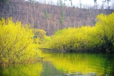 낚시사랑 > 송전지 평택좌대 : 낚시사랑