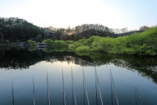 청춘어락 > 충주 화곡낚시터 : 낚시사랑
