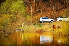 낚시사랑 > 용인 두창낚시터 : 낚시사랑