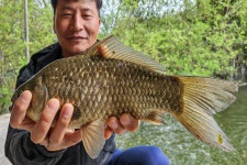 예담2 > 송전지 수원좌대 산란특수 : 낚시사랑
