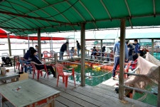 강호지락 > 미리내 좌대 : 낚시사랑