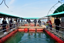 강호지락 > 미리내 좌대 : 낚시사랑