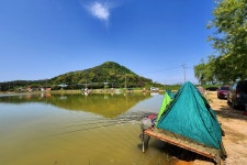 노아주 > 대물 냉정지 : 낚시사랑
