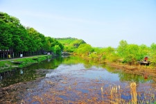 낚시사랑 > 충주 입석낚시터 : 낚시사랑