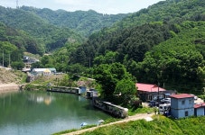 붕어도인 > 양평 그린낚시터 : 낚시사랑