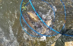 강호지락 > 만정 낚시터 : 낚시사랑