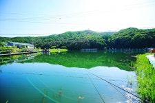 낚시사랑 > 광주 추곡낚시터 : 낚시사랑