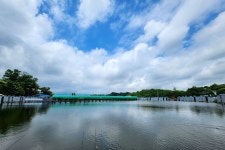 노아주 > 새마을 낚시터 : 낚시사랑