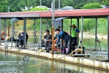 강호지락 > 황청낚시터 : 낚시사랑