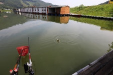 붕어도인 > 양평 대석낚시터 : 낚시사랑