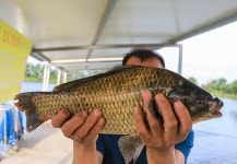 청춘어락 > 화성 안석낚시터 : 낚시사랑