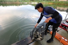 붕어도인 > 포천 쌍방죽낚시터 : 낚시사랑