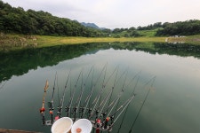 청춘어락 > 충주호 키다리 낚시터 : 낚시사랑